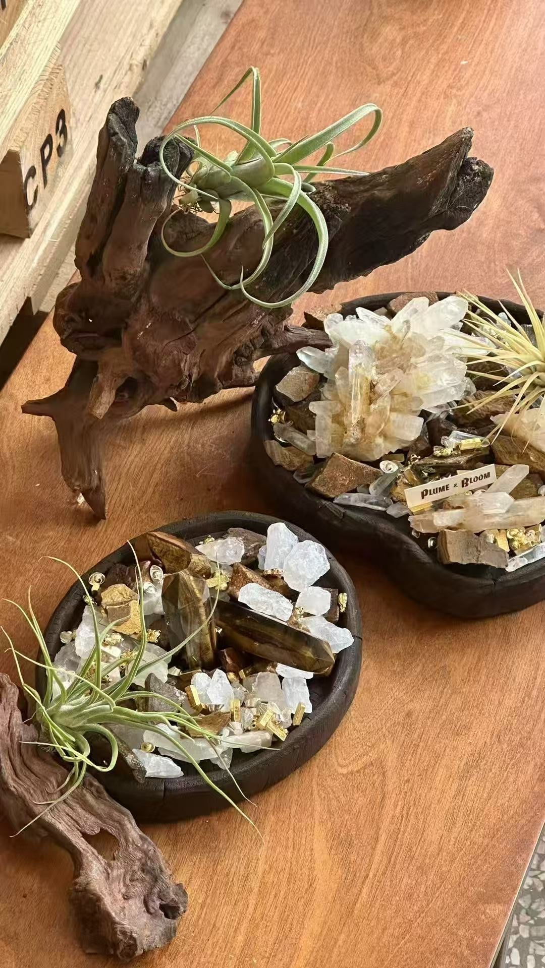 【新登場】綠植水晶能量碗